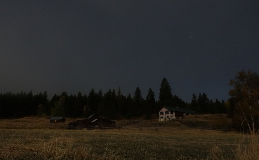 A Beginning in&nbsp;Photography